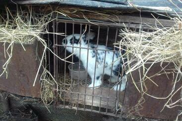 بنسيون Aghasu Tun B&b