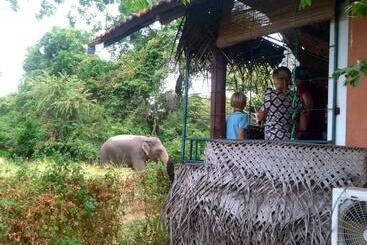ペンション Lake Cabin