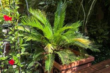 Bed And Breakfast Caffe Caffe