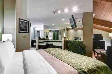 酒店 Comfort Inn