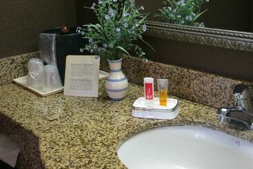 هتل Econo Lodge Choice S I 95 Savannah Gateway 24 Hour Fitness Center On Site Guest Laundry On Site Perk