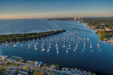 בית מלון כפרי The Ritzcarlton Coconut Grove, Miami