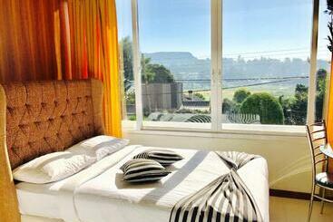 فندق Single Tree