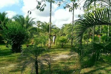 펜션 Coconut Valley Bed & Breakfast