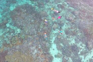 酒店 Murex Bangka Dive Resort