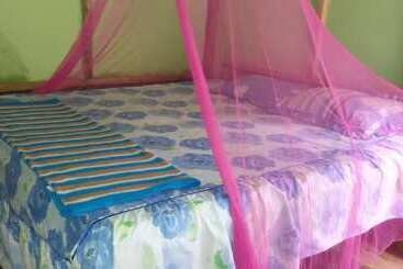 مبيت وإفطار Green Lodge Tangkahan