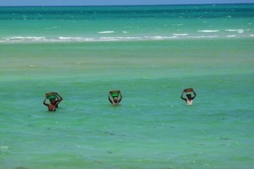 Отель Ulala Lodge