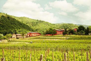 乡村酒店 Agriturismo L Uva E Le Stelle