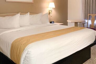 모텔 Quality Inn Albuquerque East I40 Juan Tabo Exit