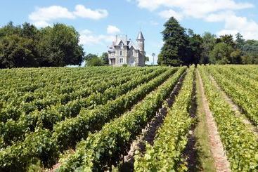 ベッドアンドブレックファースト Chateau Breduriere