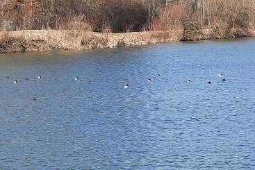 호텔 Grand Apartment Allgäu