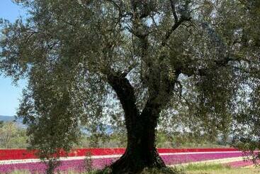 צימר Maison Lou Roucas