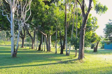 فندق Banyan Tree