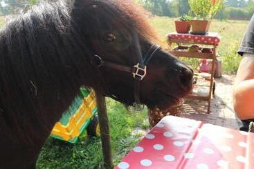 膳宿费 Ferienhof Zum Spreewäldchen