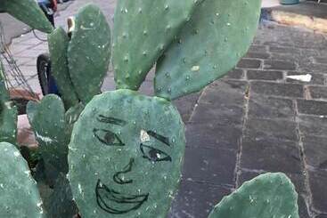 بنسيون Casa Verdi   House Of Travelers