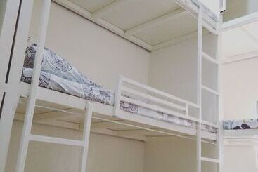 Bee Force Backpackers   Hostel