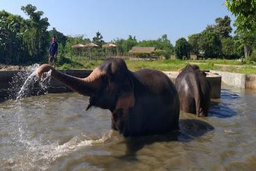 ホテル Capital O 997 Hug Lom Doi