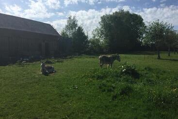 ベッドアンドブレックファースト Chambre Chez Corinne