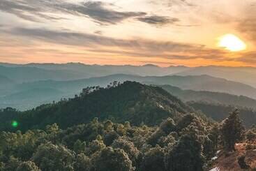منتجع Tree Of Life Grand Oak Manor Binsar