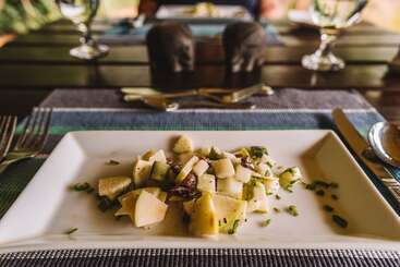 فندق Big Game   Udawalawe By Eco Team