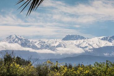 پانسیون Villa Catherine Marrakech