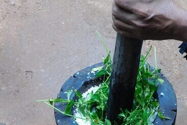 Bed and Breakfast Yala Avian Eye Safari