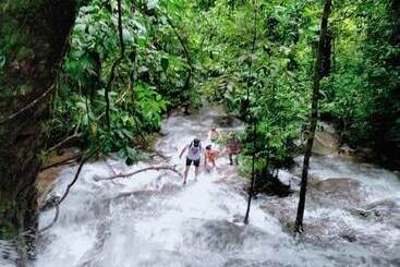 Отель Khaosok River Camp