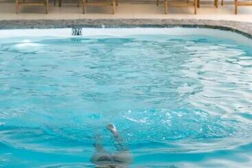 호텔 Surplage Hôtel Cavalière