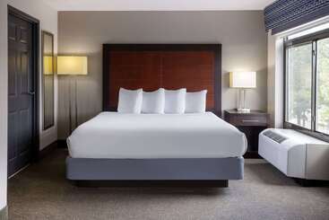 فندق Wingate By Wyndham Atlanta Galleria/ Ballpark