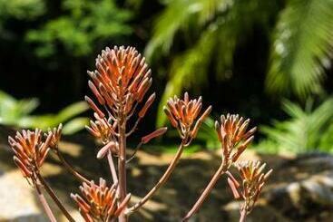 Guácima Escondida Hotel Boutique