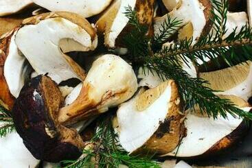 호스텔 Locanda Marcella