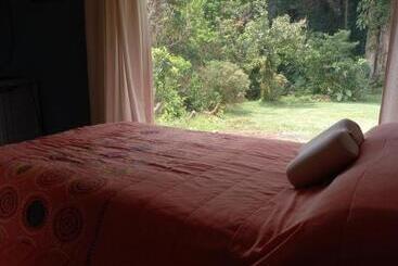 Bed and Breakfast Suite Y Loft Casa Toría