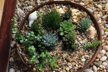 פנסיון Casa Das Rendas