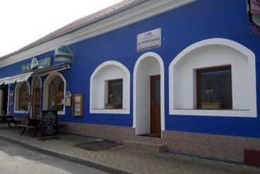 פנסיון Penzion U Formana