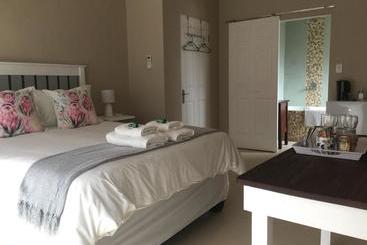 بنسيون The Vine