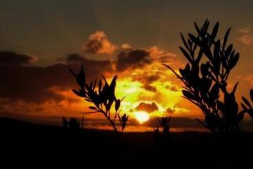 호스텔 El Capricho