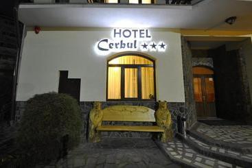 هتل Cerbul