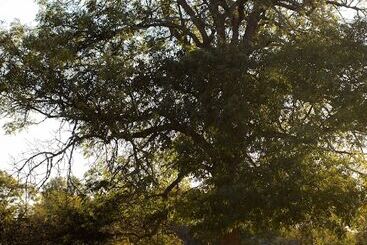 בית מלון כפרי Ljungs Fem Rum