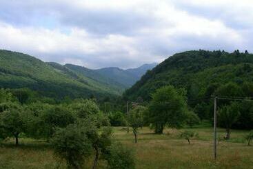 مبيت وإفطار Pensiunea Elena