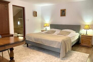 호텔 Pensiunea Casa Stefanel