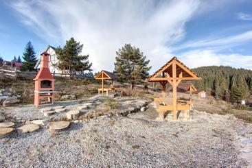 Отель Skilandhouse Yablunytsya