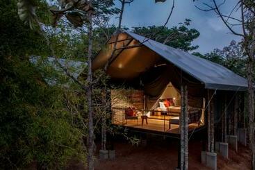 リゾートホテル Kaav Safari Lodge, Kabini