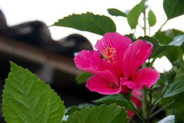 مبيت وإفطار Hostal Mi Castillo