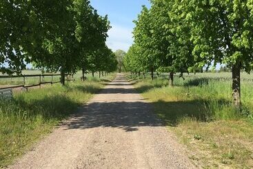 Отель Björkåsa Gård Bed & Box