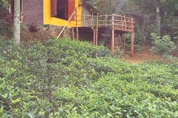 膳宿费 Aelam Gardens