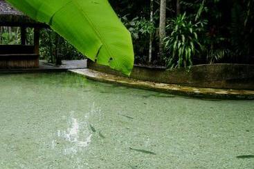 بنسيون Jardim Da Amazônia Lodge
