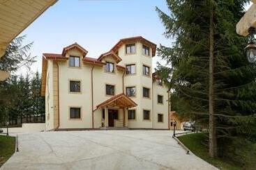 Pensiunea Floarea De Colt