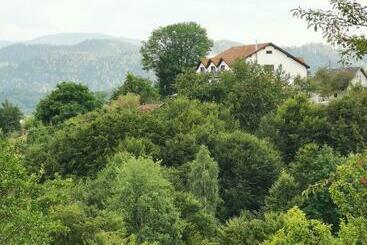 호텔 Pensiunea Tabacaru