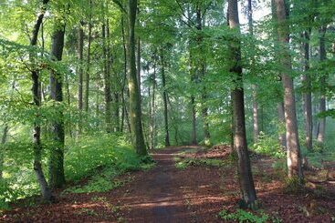 ホテル Waldgasthof Buchenhain