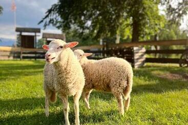 Пансион Dom Frana Krala